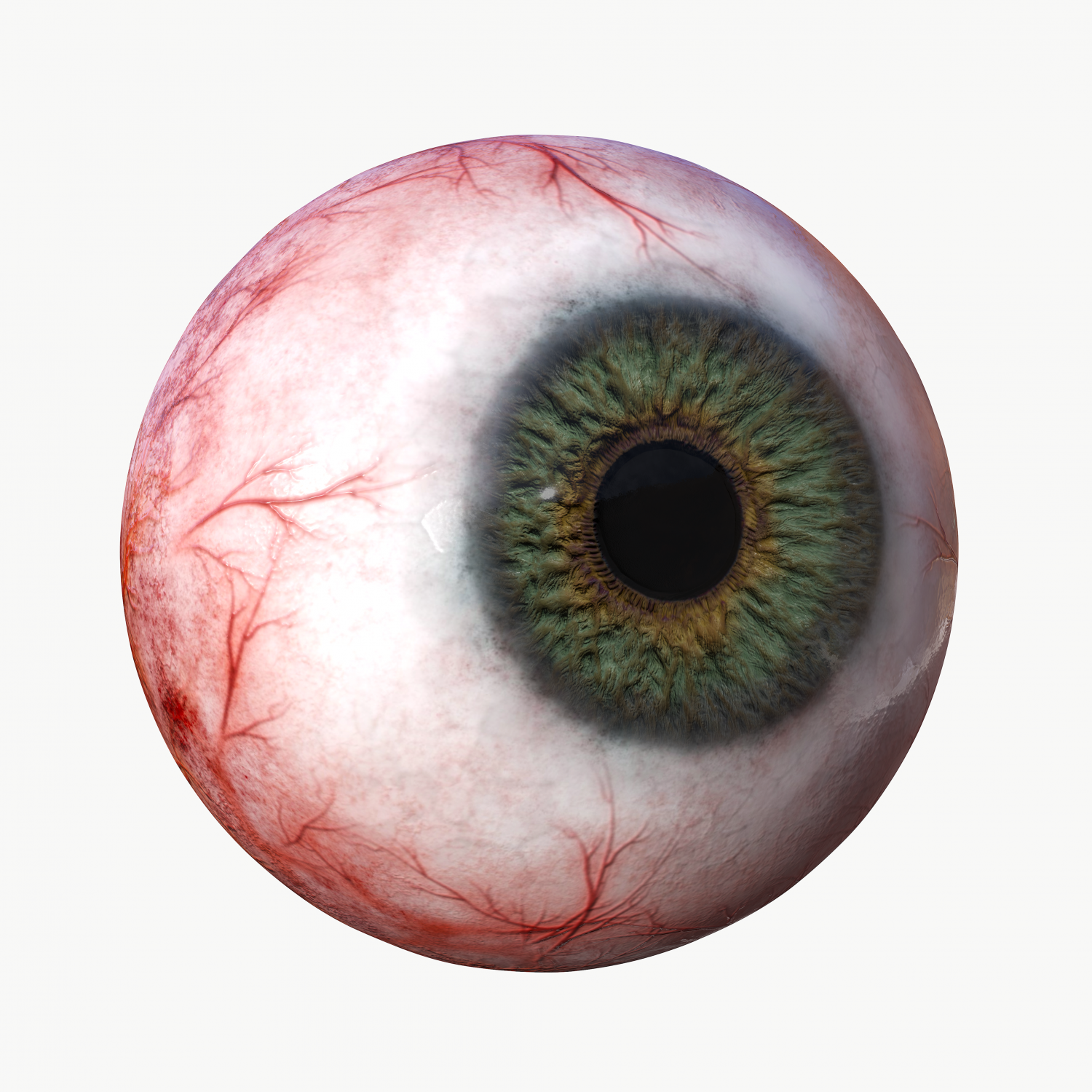 Best Eyeball Royalty-Free Images, Stock Photos & Pictures