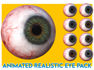 eye anatomy photorealistic eyeball 3D Model