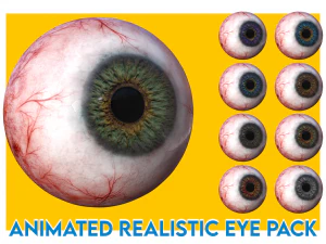 ooganatomie fotorealistische oogbol 3D Model