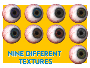 eye anatomy photorealistic eyeball 3Dモデル
