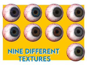 eye anatomy photorealistic eyeball 3D Model