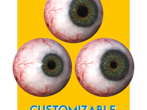 eye anatomy photorealistic eyeball 3D Model