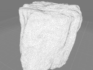 पथरीली लकड़ी 3D मॉडल