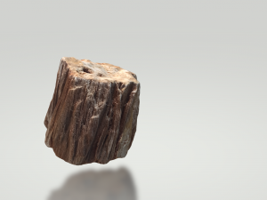 petrified wood 3D 模型