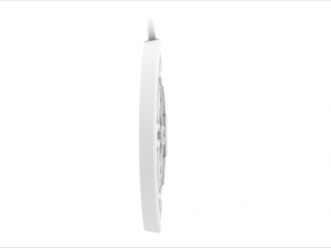 THIKASA GOLD PENDANT 3D Print Model