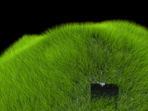 secluded place 3D Model