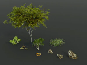 shady brook in blender 3D Model