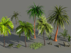 the long oasis in blender 3D Model