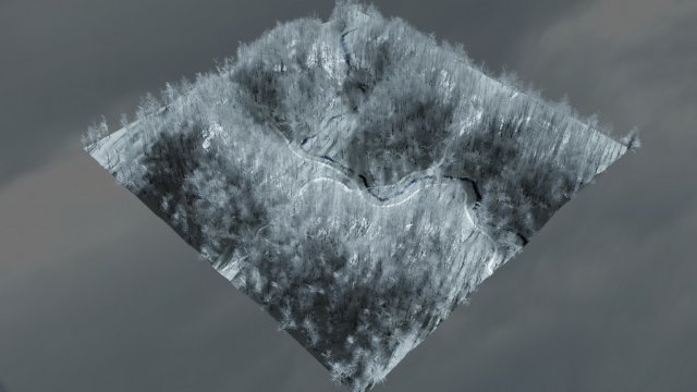 forest in winter in blender 3D 模型 .c4d .max .obj .3ds .fbx .stl .blend 