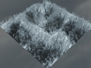 forest in winter in blender 3D 模型