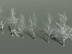 forest in winter in blender 3D 模型