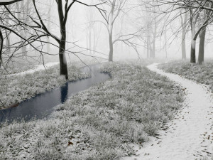 forest in winter in blender 3D 模型