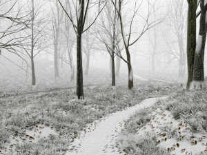 forest in winter in blender 3D 模型