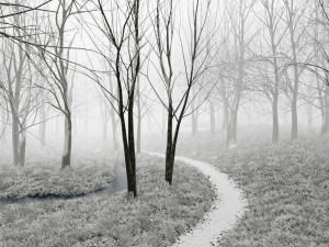forest in winter in blender 3D 模型