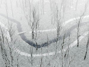 forest in winter in blender 3D 模型