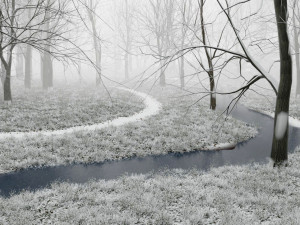 forest in winter in blender 3D 模型