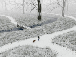 forest in winter in blender 3D 模型