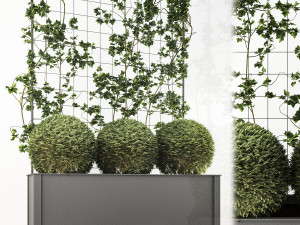 flower box 3D Модель