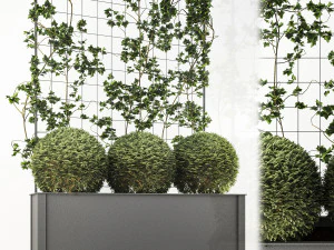 pudełko na kwiaty Model 3D