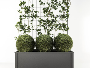 flower box 3D 모델