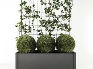 flower box 3D Model