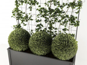 flower box 3D Model