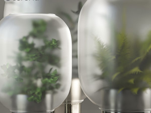 indoor plant Modelo 3D