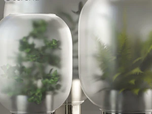 indoor plant 3D Model