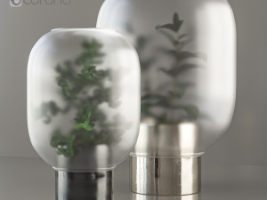 indoor plant Modelo 3D