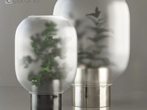 indoor plant 3D Model