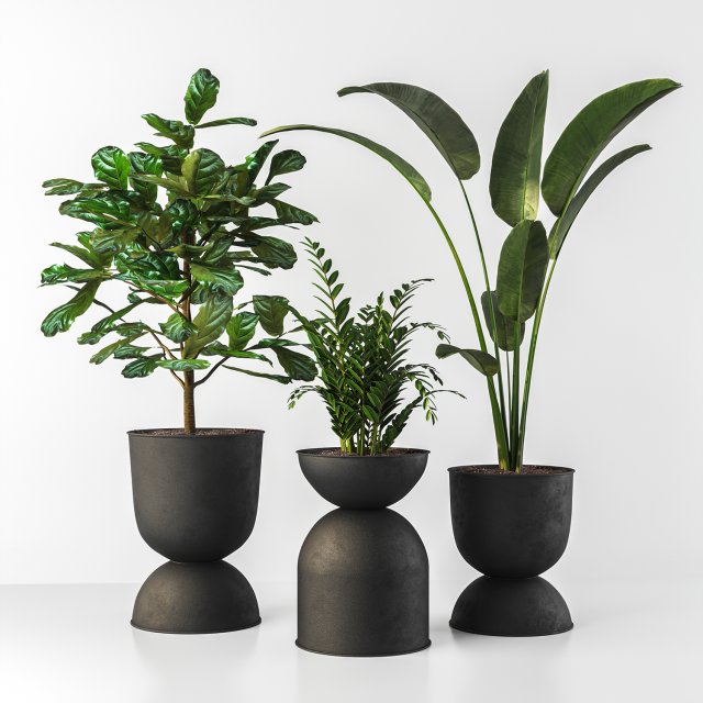indoor plant Modèle 3D .c4d .max .obj .3ds .fbx .stl .blend 