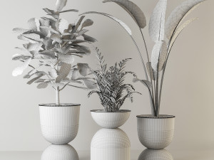 indoor plant Modèle 3D