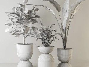 indoor plant 3D Model
