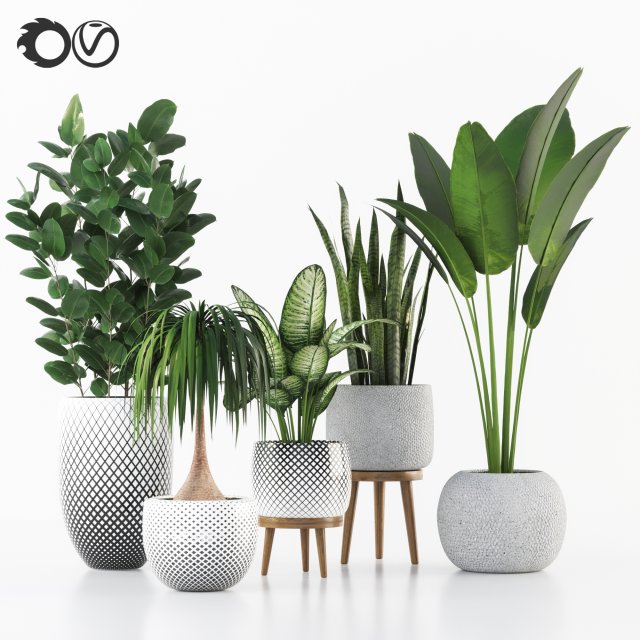 plant collection Model 3D .c4d .max .obj .3ds .fbx .stl .blend 