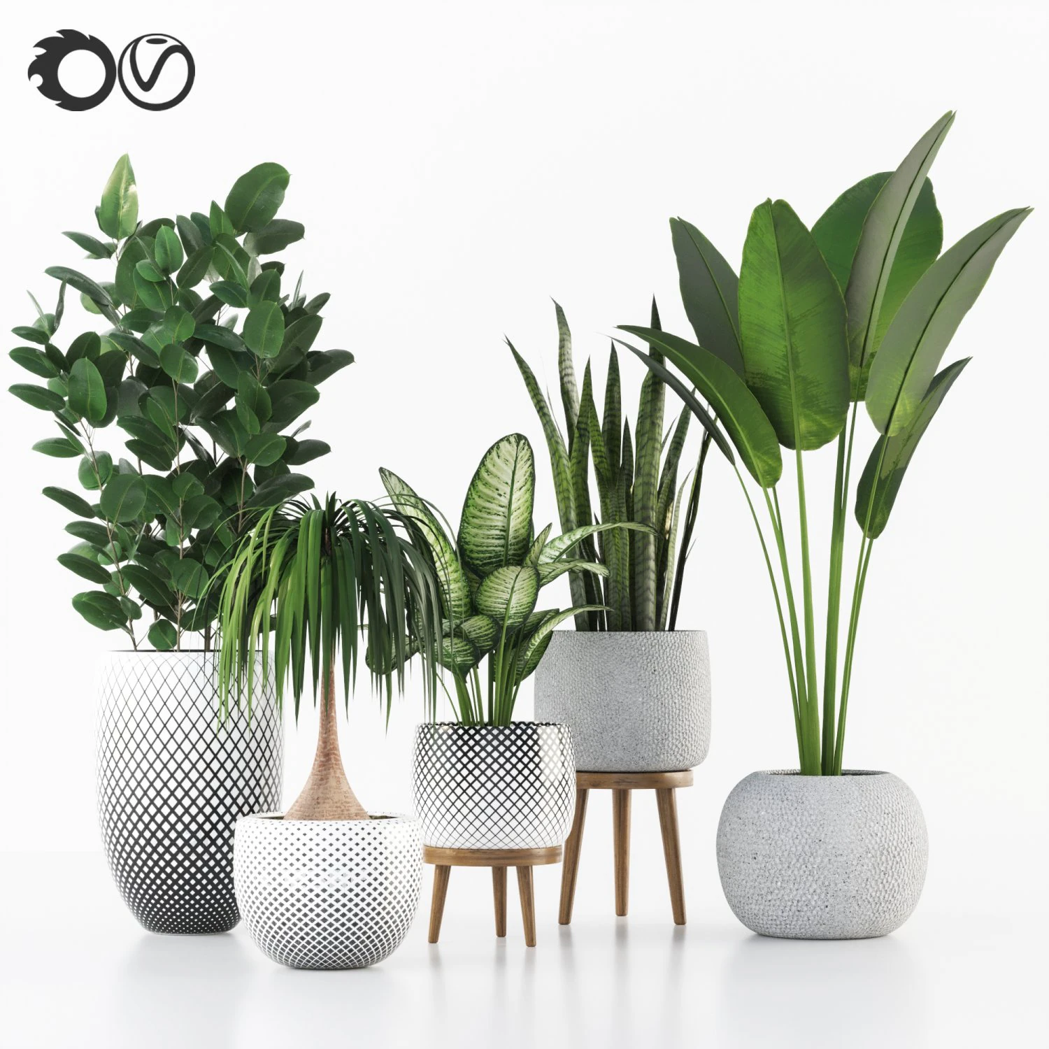 plant collection 3D Model .c4d .max .obj .3ds .fbx .stl .blend 