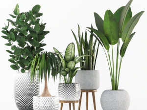 raccolta di piante Modello 3D