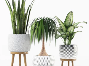 plant collection 3D Model