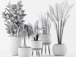 plant collection 3D Model