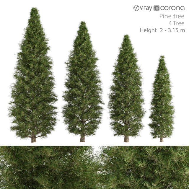 pine tree 3D Model .c4d .max .obj .3ds .fbx .stl .blend 
