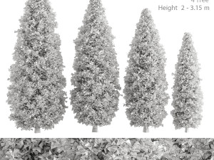 pine tree 3D Model
