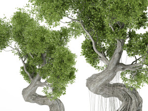 stylized tree 3D Model