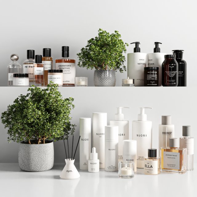 bathroom accessories 3D Model .c4d .max .obj .3ds .fbx .stl .blend 