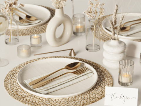Tableware Model 3D