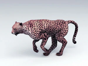 leopard 3D Model