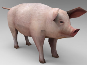 pig 3D Model