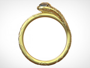 ring 3D Baskı Modeli