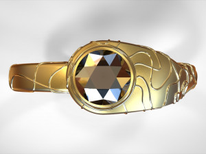 ring 3D Baskı Modeli