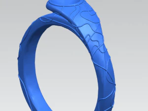 ring 3D Print Model