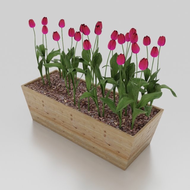 Flowers plant box 001 3D Модель .c4d .max .obj .3ds .fbx .stl .blend 