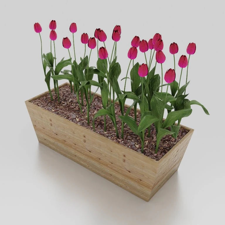 Flowers plant box 001 3D Model .c4d .max .obj .3ds .fbx .stl .blend